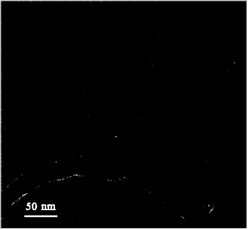 Modified silicone rubber containing CNTs (carbon nano tubes)-PDMS (polydimethylsiloxane) and preparation method of modified silicone rubber