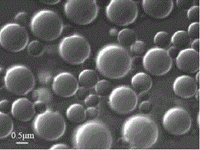 Preparation method of micro RNA nano microsphere and application of micro RNA nano microsphere in anti-tumor aspects