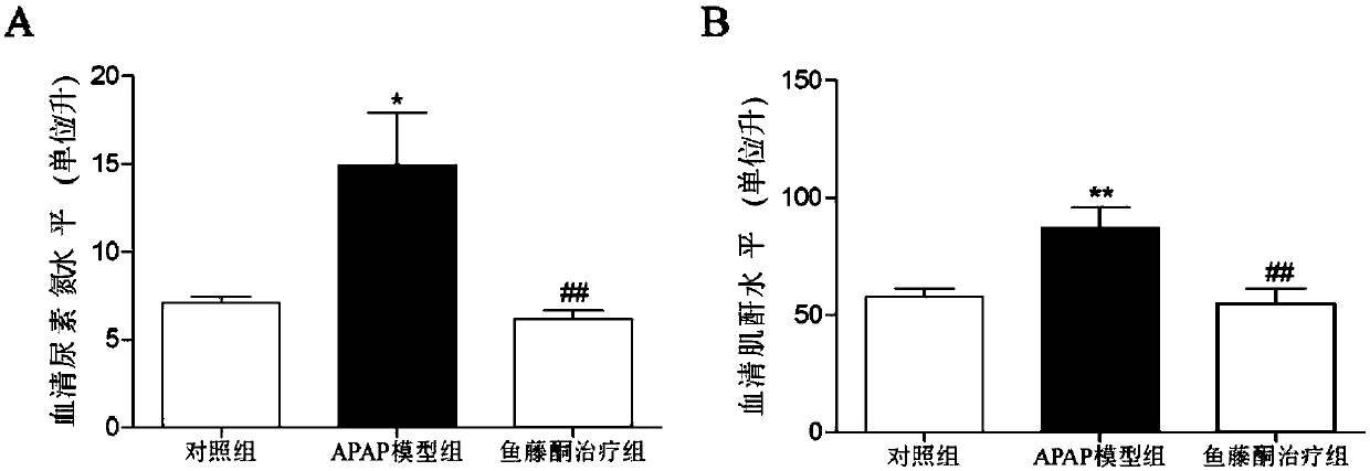 Use of tubatoxin in preparation of drugs treating acute kidney injury