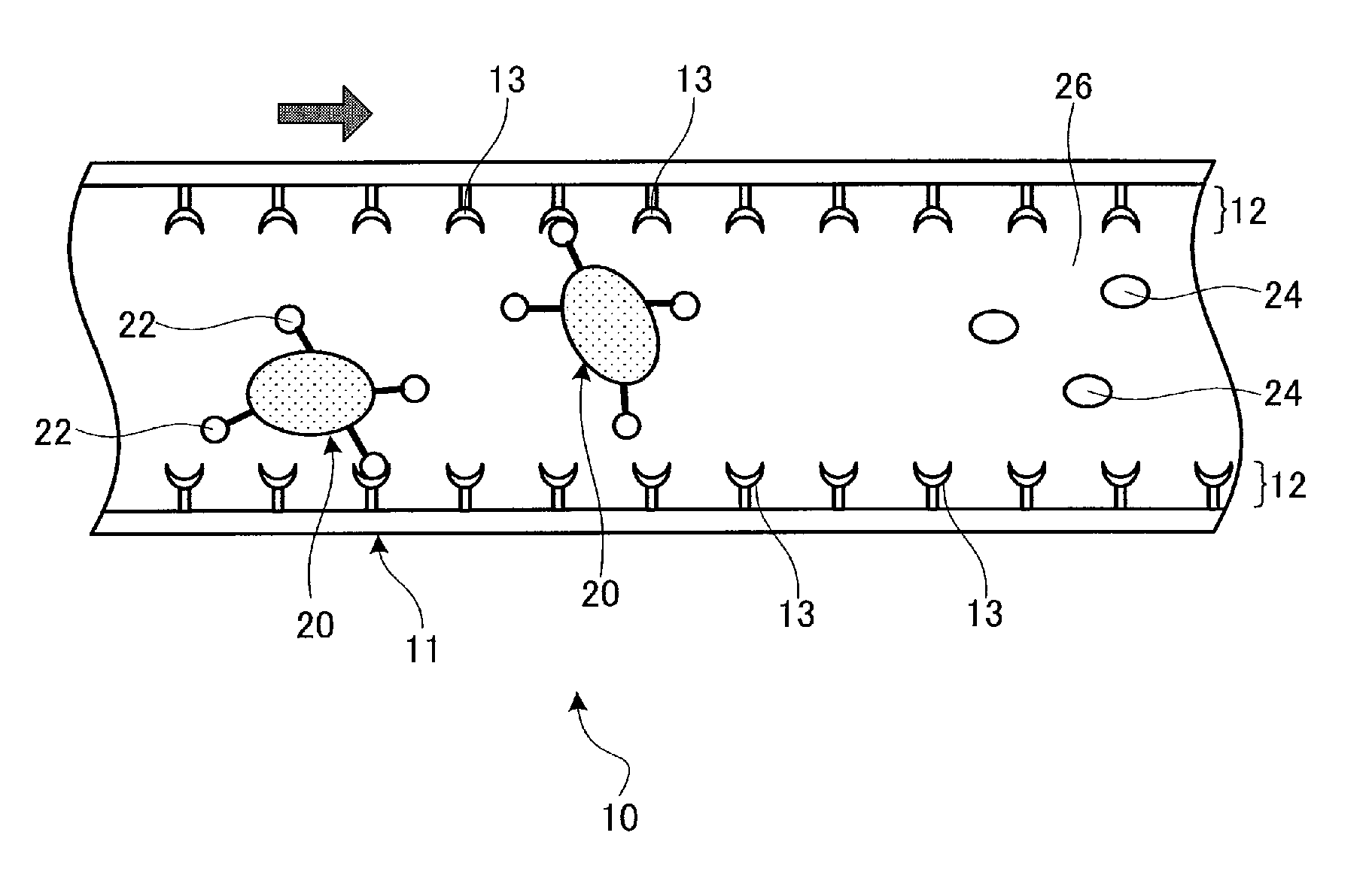 Cell separating apparatus and cell separating method