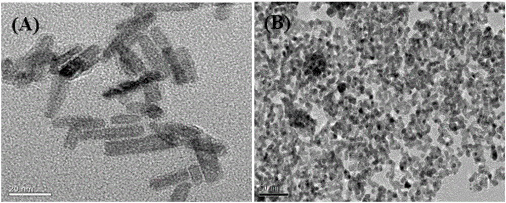 Palladium/cuprous oxide reticular nano catalytic material and preparation and application thereof