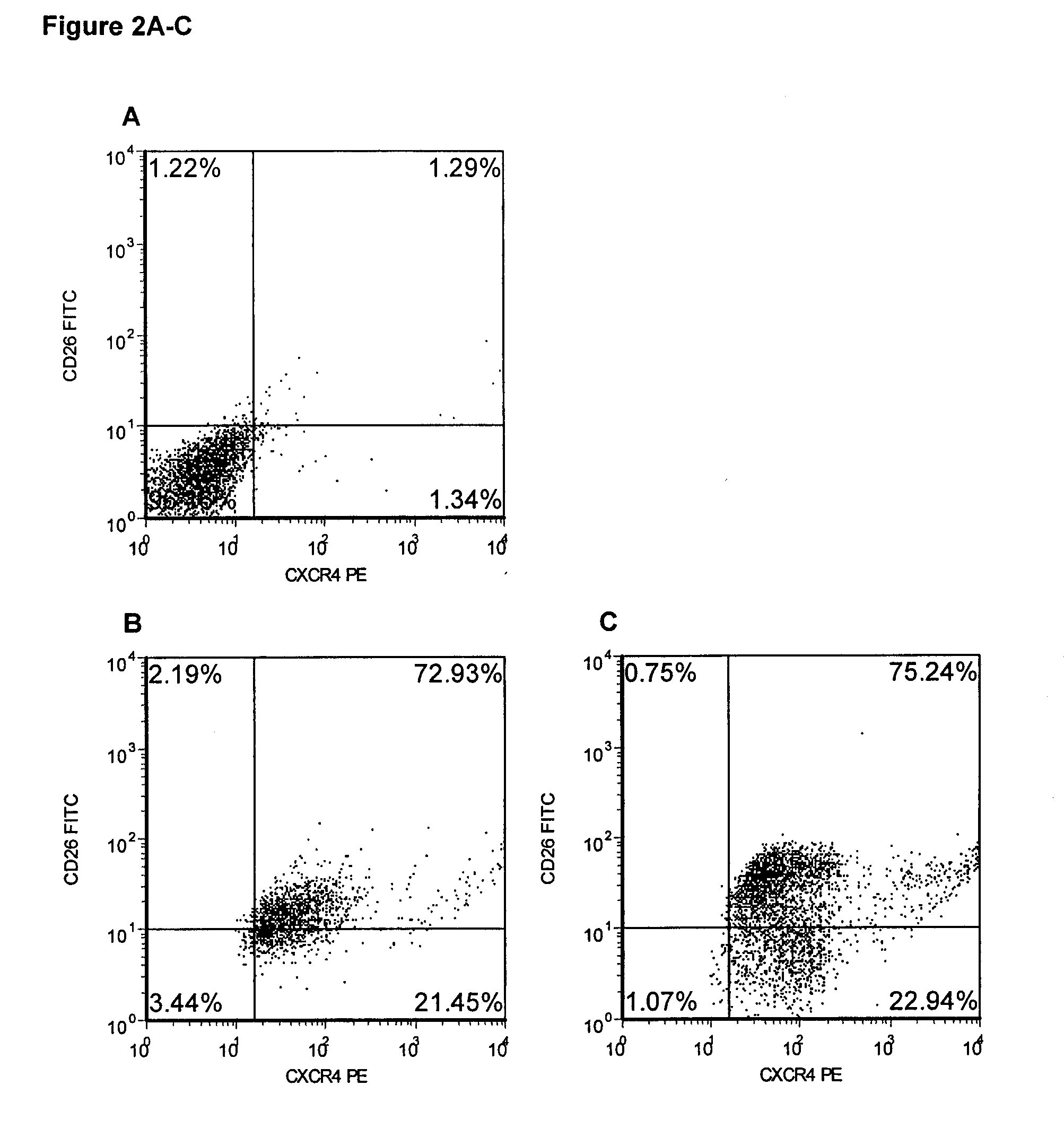 Methods for enhancing stem cell engraftment during transplantation