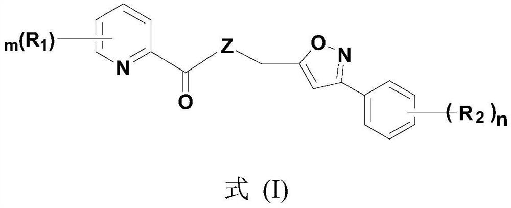 Pyridine-2-carboxylic acid derivatives and their preparation methods and uses