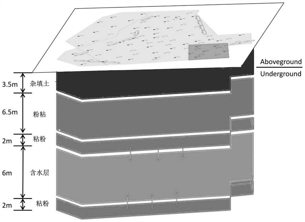 Method for predicting and evaluating rebound potential of repaired groundwater in heterogeneity polluted site