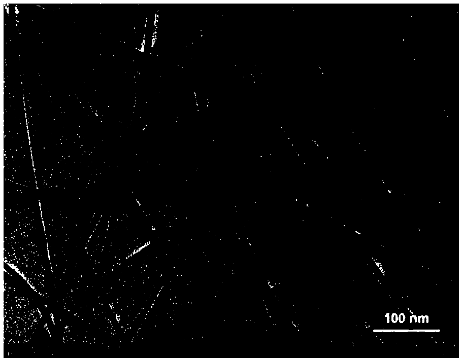 Phenolic resin aerogel with nanofiber network structure, carbon aerogel material and preparation method of phenolic resin aerogel