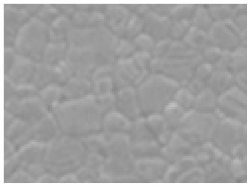 Conductive silver paste for low-temperature sintering LTCC (Low Temperature Co-Fired Ceramic) and preparation method thereof