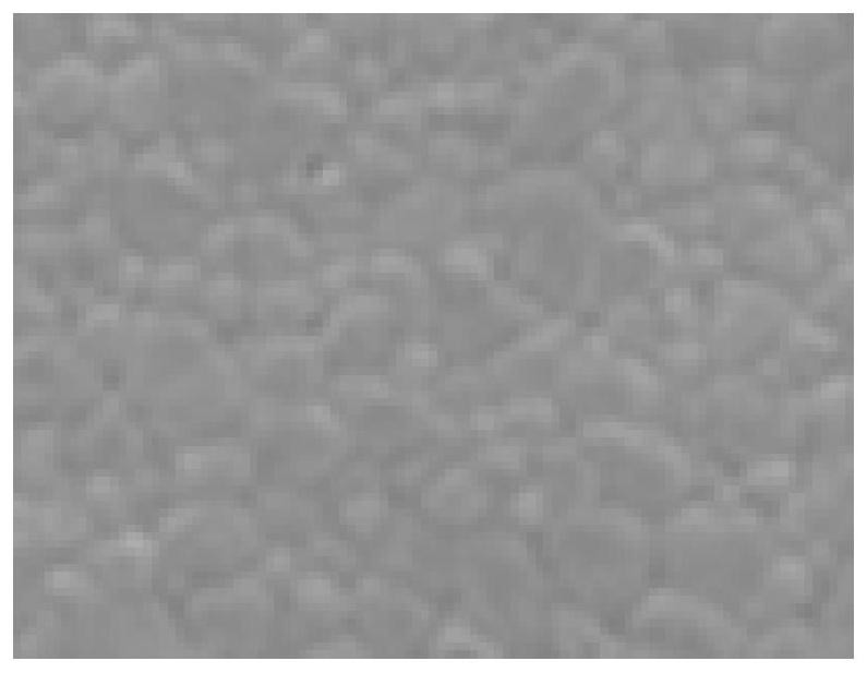 Conductive silver paste for low-temperature sintering LTCC (Low Temperature Co-Fired Ceramic) and preparation method thereof