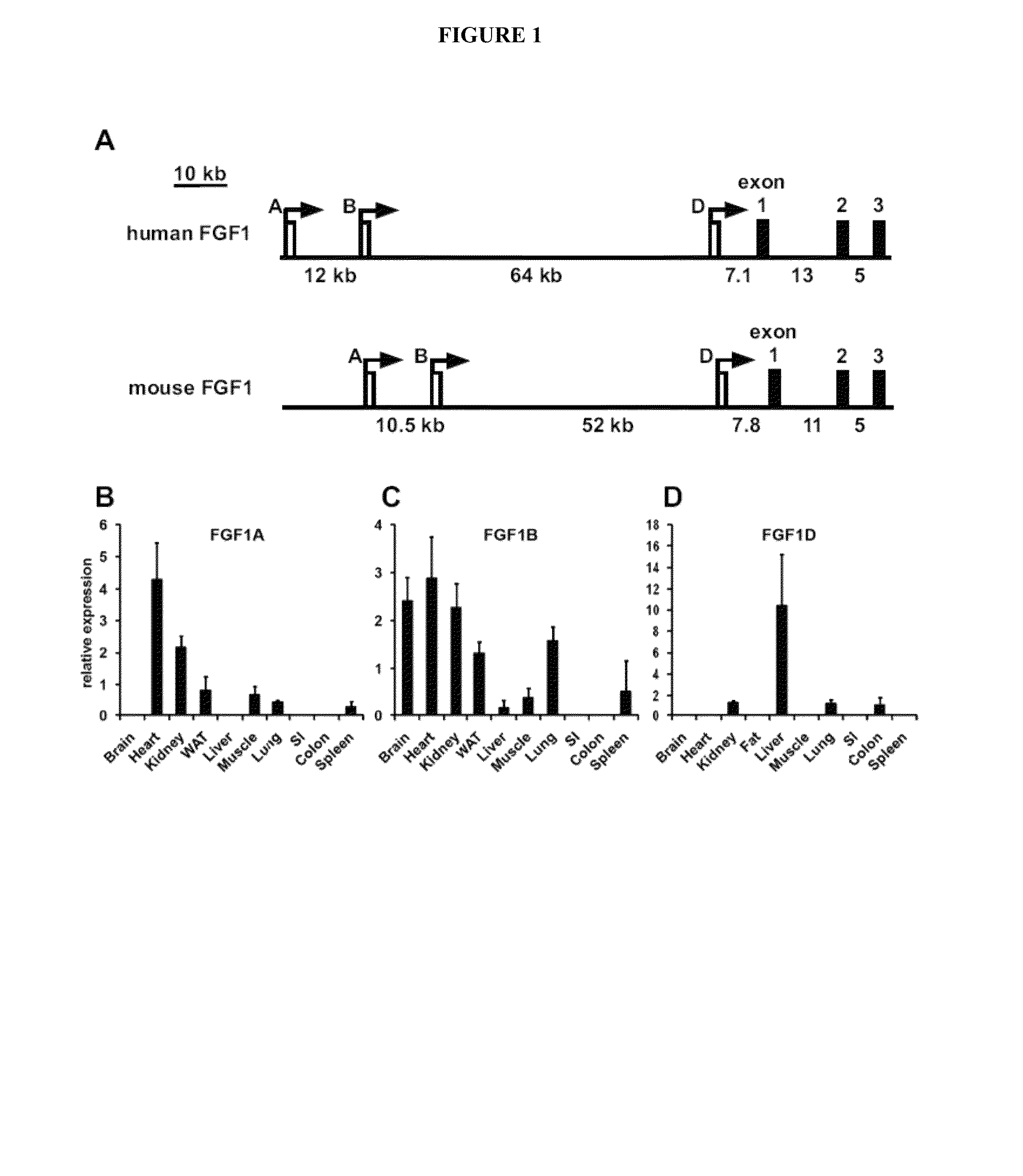Methods for treating metabolic disorders using FGF