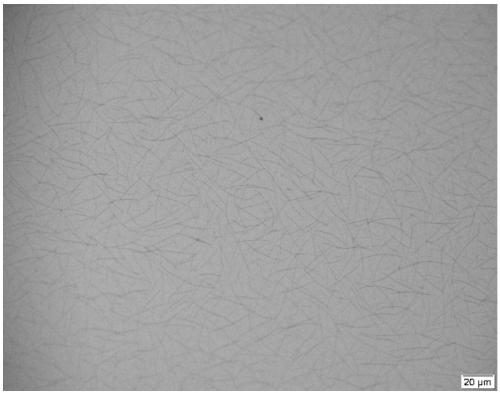 Preparation of molybdenum ditelluride nanowire material and molybdenum ditelluride nanowire material