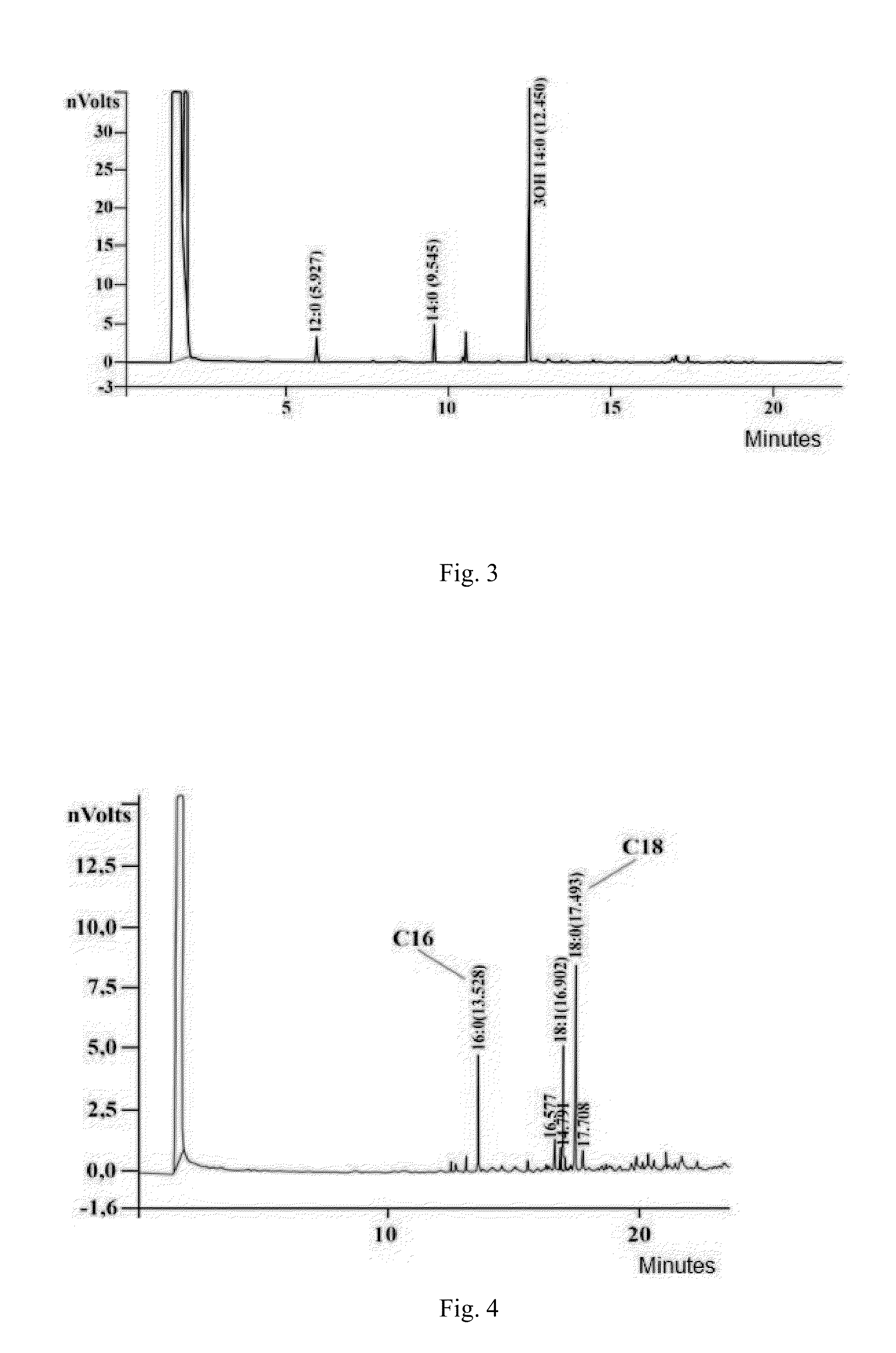 Exopolysaccharide of shigella sonnei bacteria, method for producing same, vaccine and pharmaceutical composition containing same
