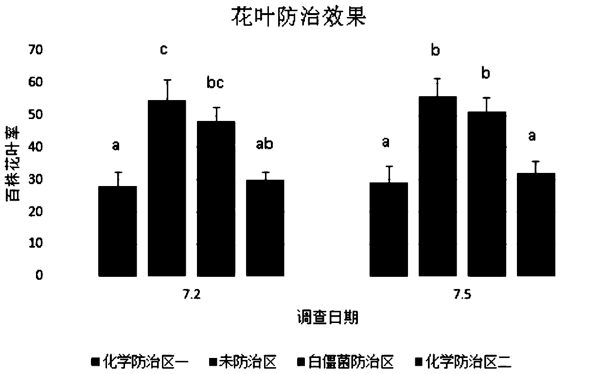 Crop ecological cultivation method