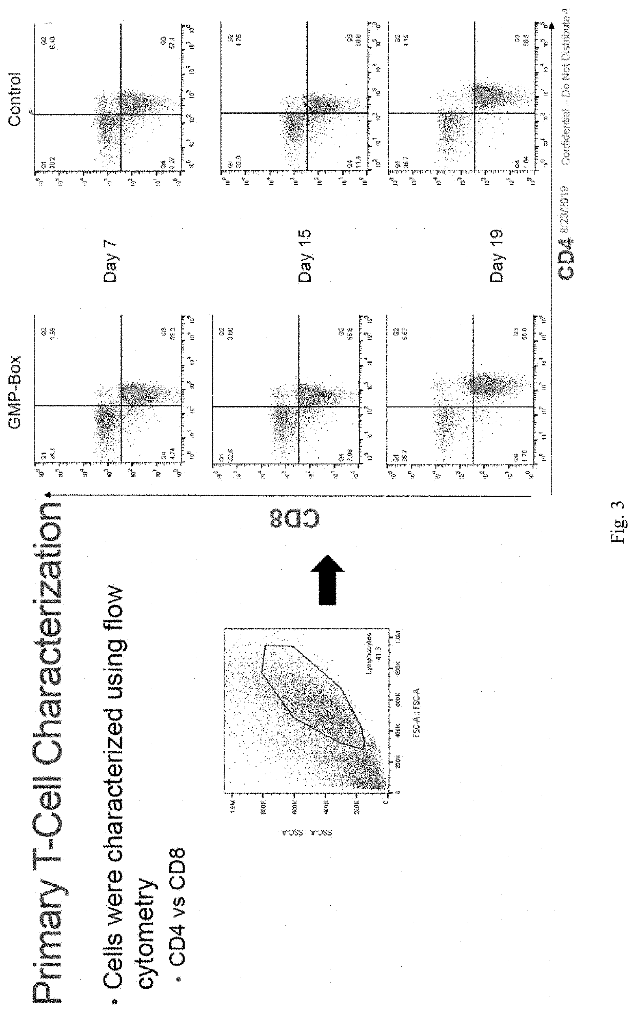 Primary T-Cell Expansion