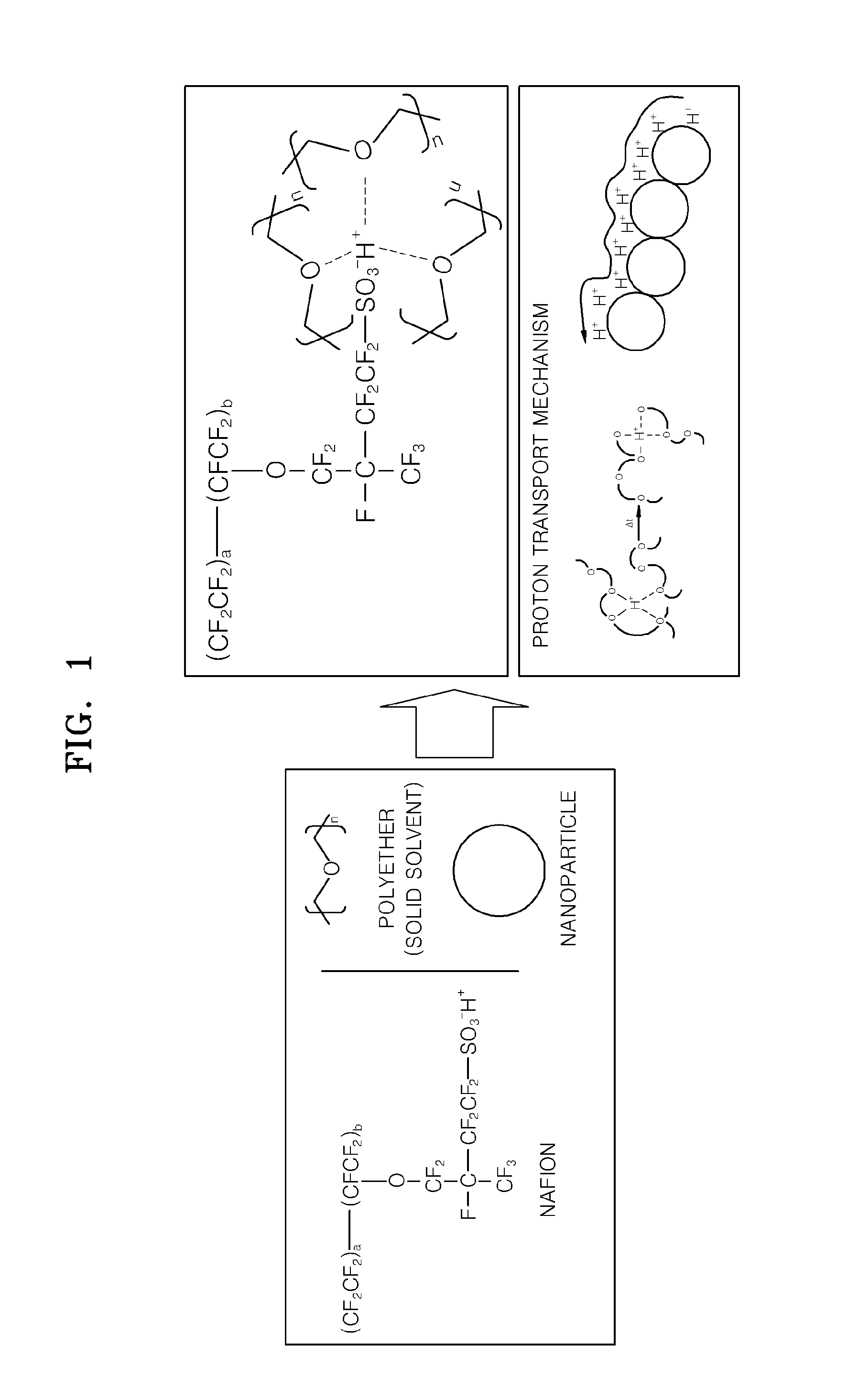 Solid proton conductor and fuel cell including the same