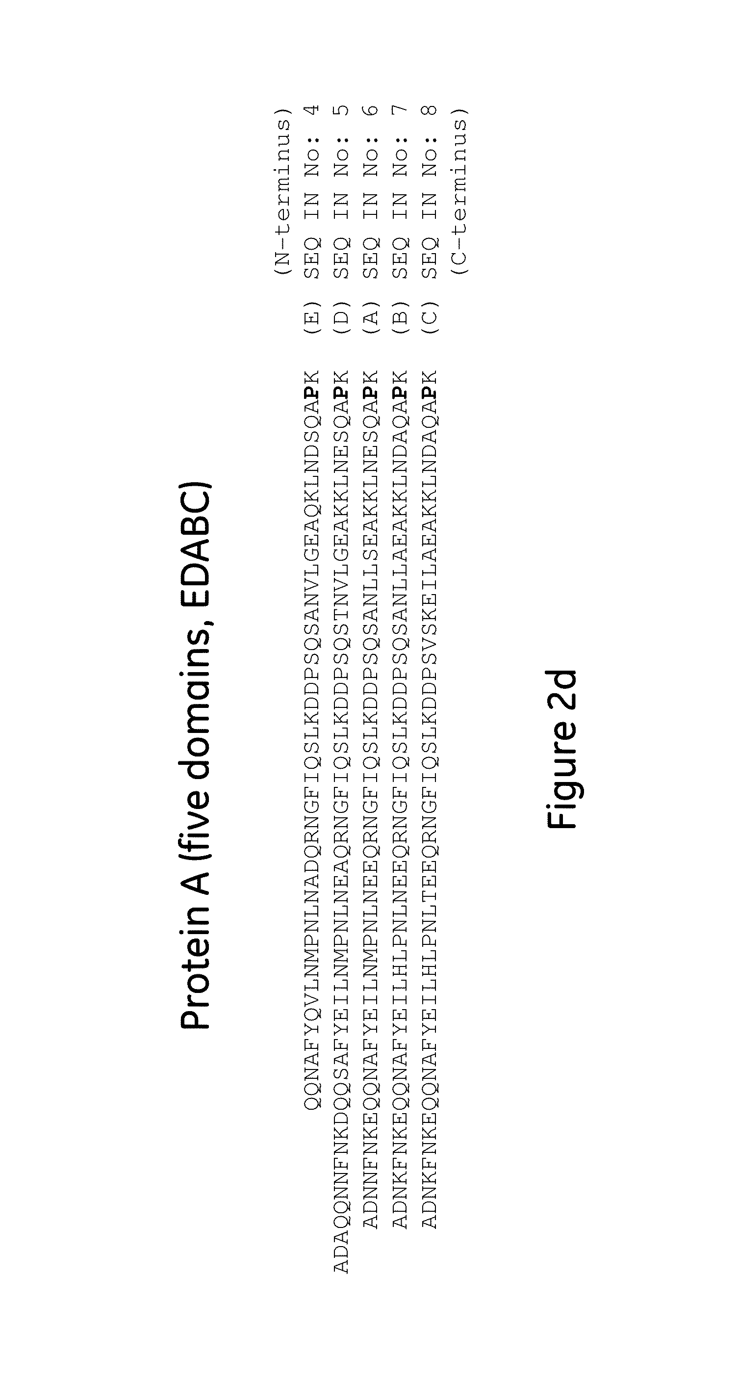 Affinity chromatography matrix