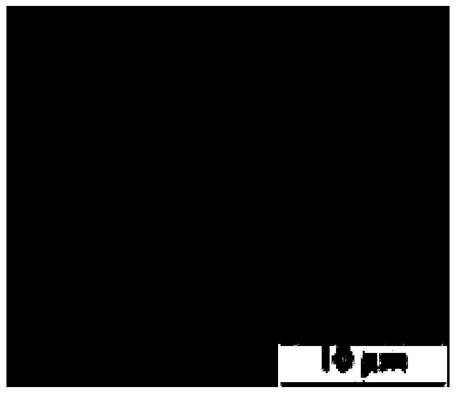 Preparation method of nano-silver/polydopamine/polypropylene composite patch material