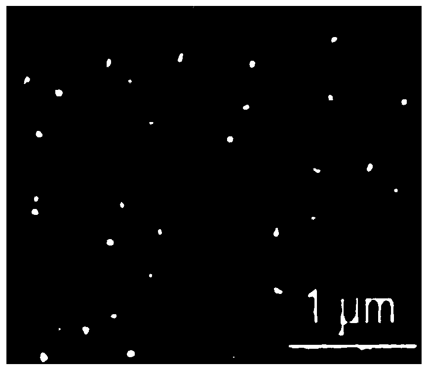 Preparation method of nano-silver/polydopamine/polypropylene composite patch material