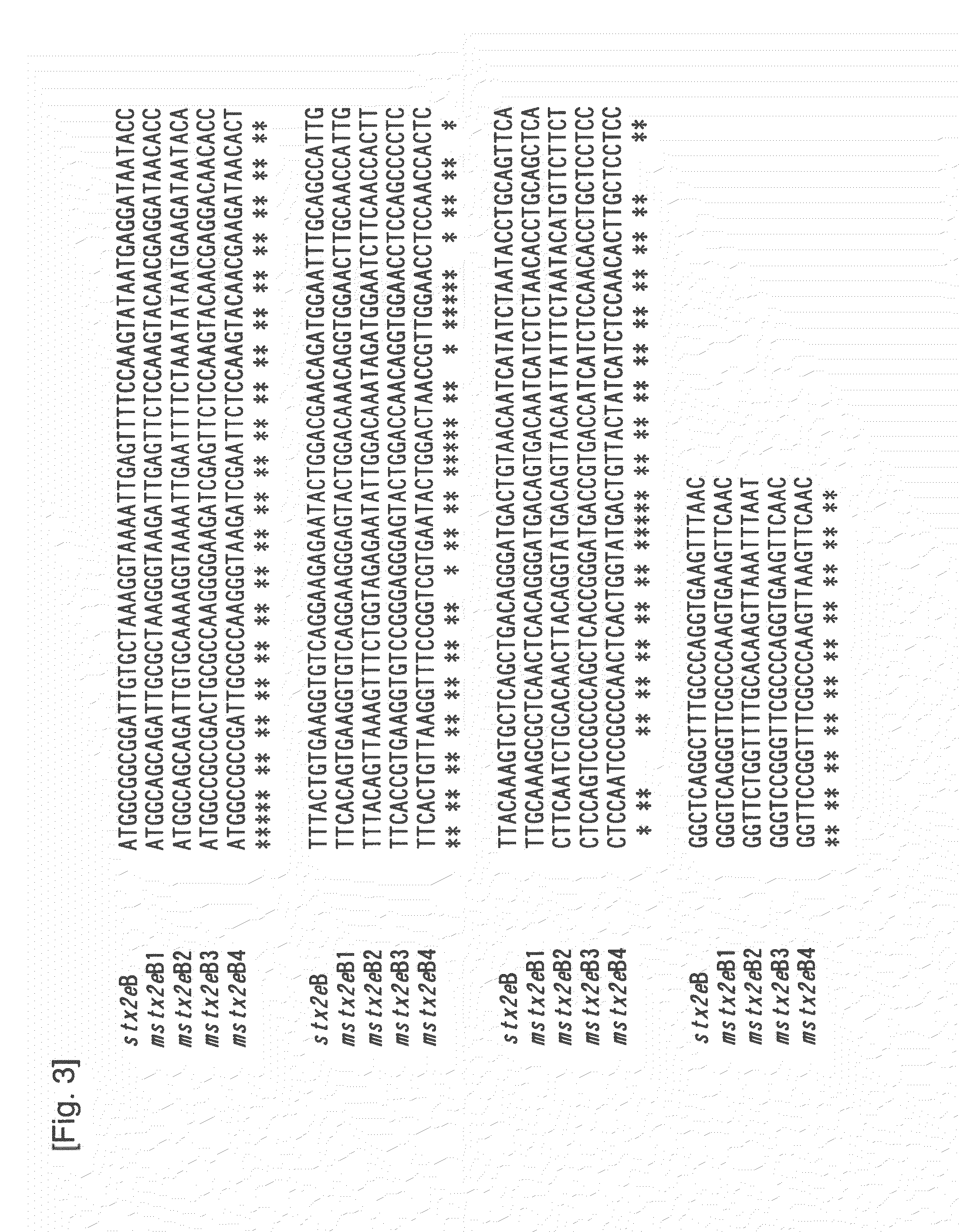 Pig edema disease vaccine