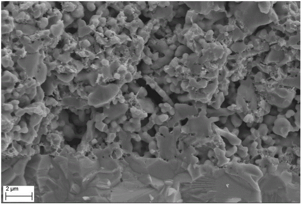 Catalyst for solid oxide fuel cell cathode and preparation method of catalytic cathode