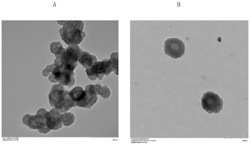 Nano material for nucleic acid vaccine enhancer