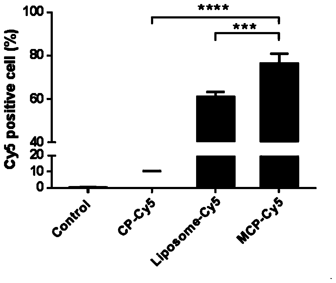 Nano material for nucleic acid vaccine enhancer