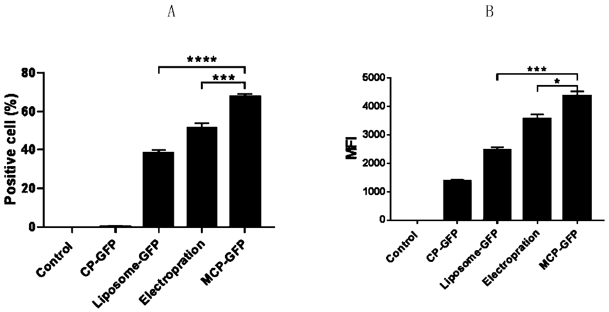 Nano material for nucleic acid vaccine enhancer