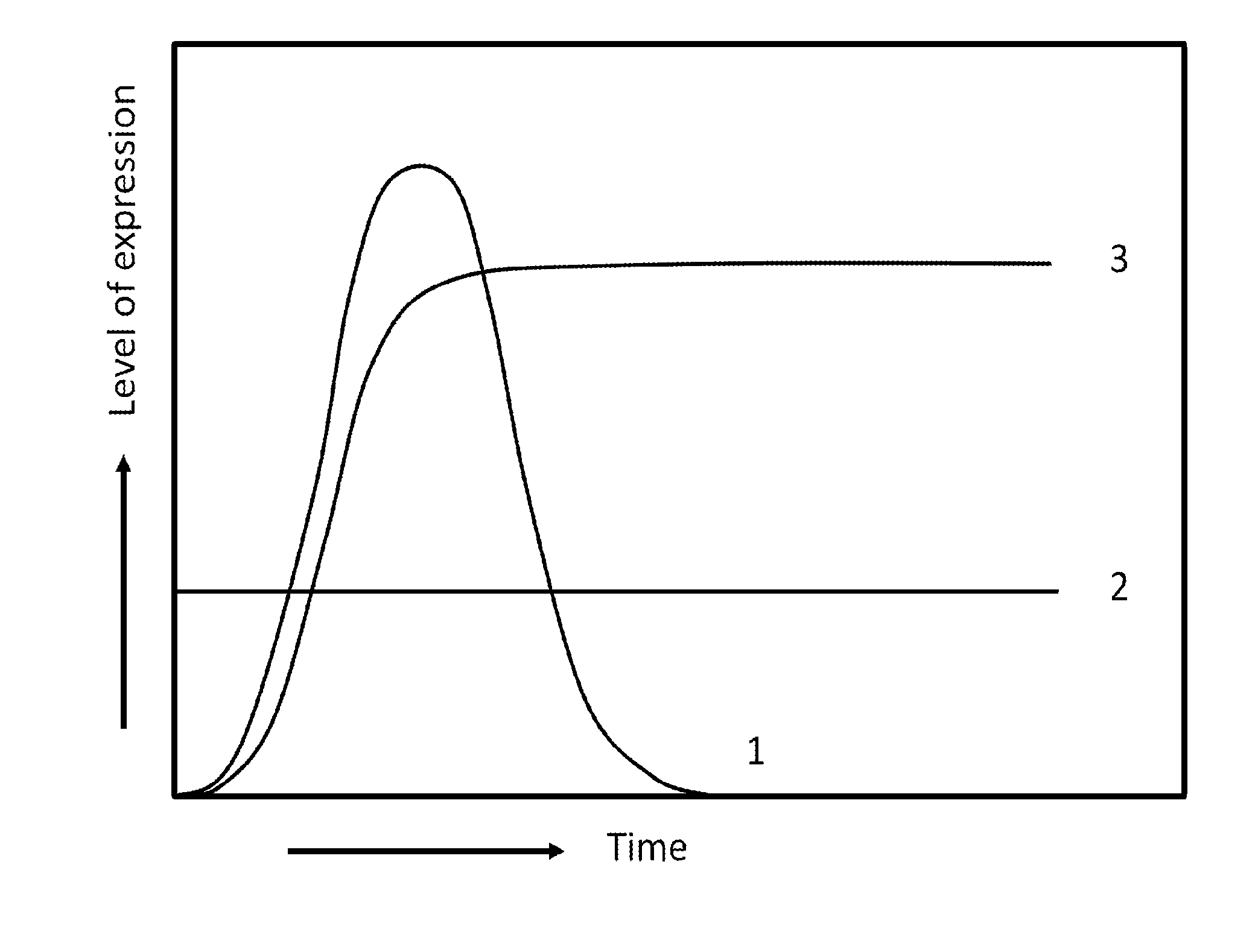 Method for the expression of a recombinant protein in a mammalian cell