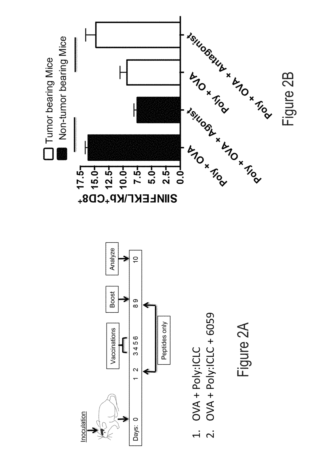 CD200 inhibitors and methods of use thereof