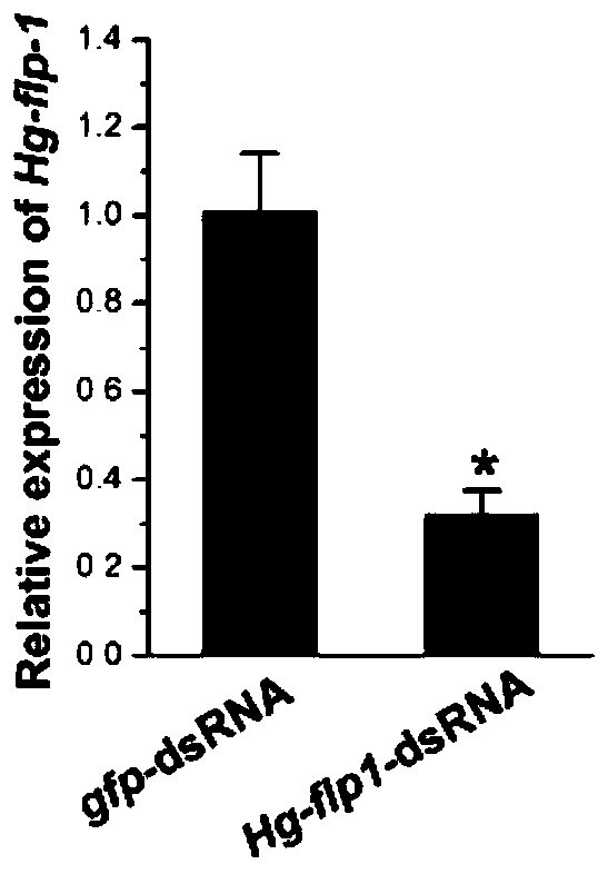 Soybean cyst nematode Hg-flp-1 gene, and encoding protein and application thereof