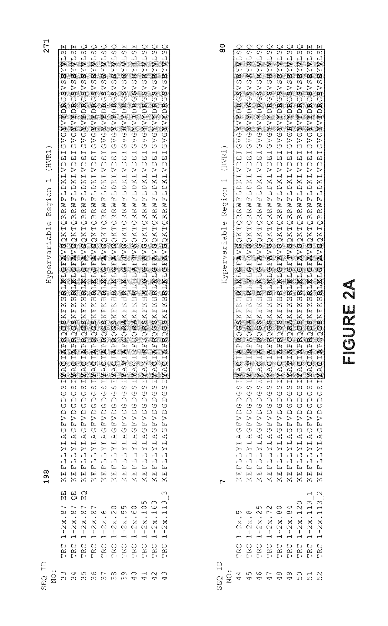 Genetically-modified cells comprising a modified human T cell receptor alpha constant region gene