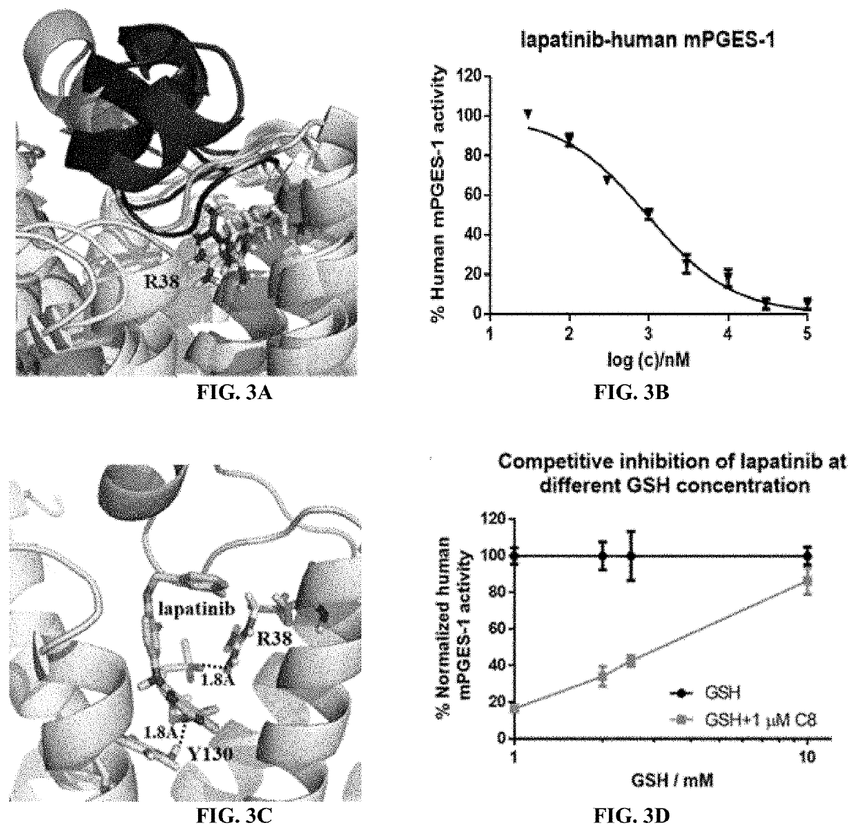 Methods of treating pain and/or inflammatory disorders using lapatinib