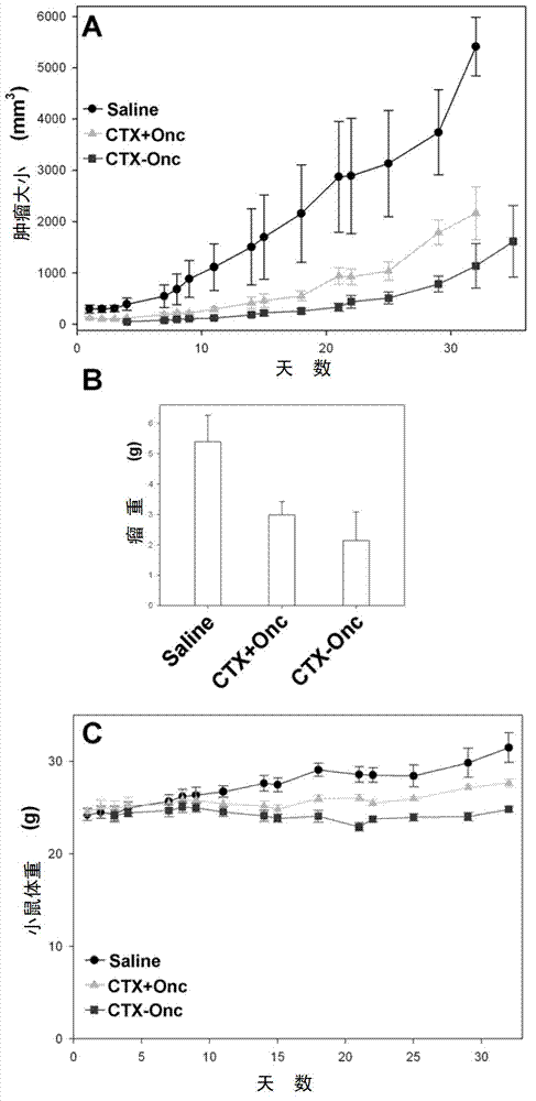 An anti-tumor targeting complex and a preparation method and applications thereof