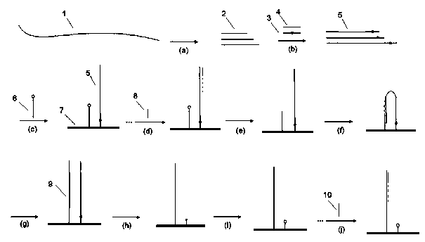 Sequencing method for in-situ copying high-flux sequencing template and increasing reading length thereof