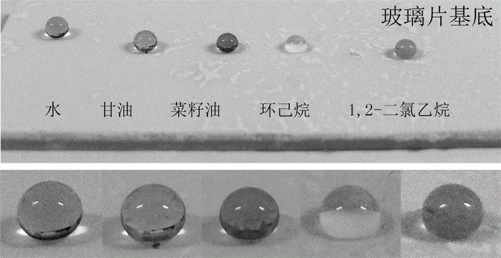 Preparation method of universal super-amphiphobic nano coating based on flower shape titanium dioxide nano particles