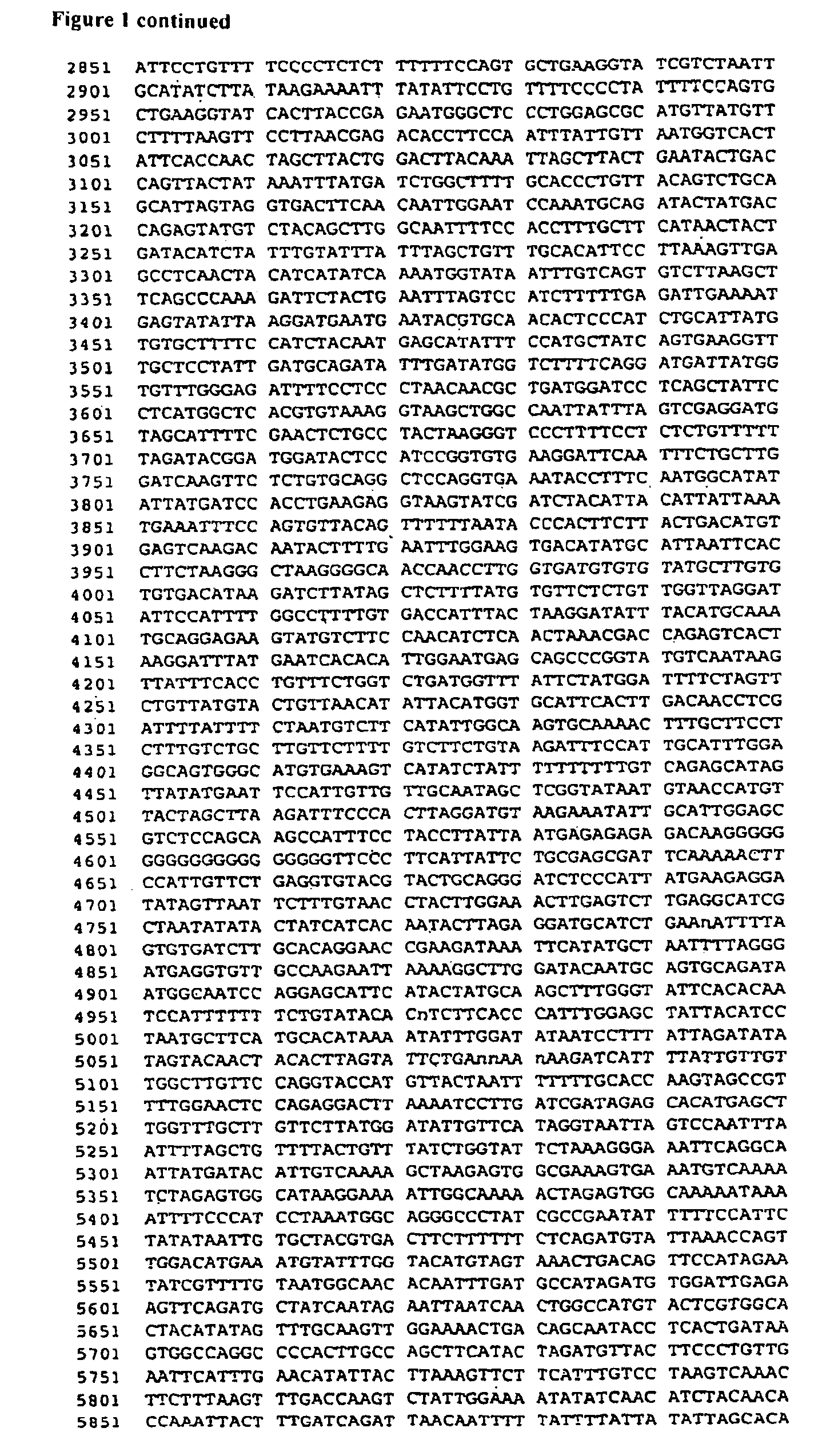Wheat with altered branching enzyme activity and starch and starch containing products derived therefrom