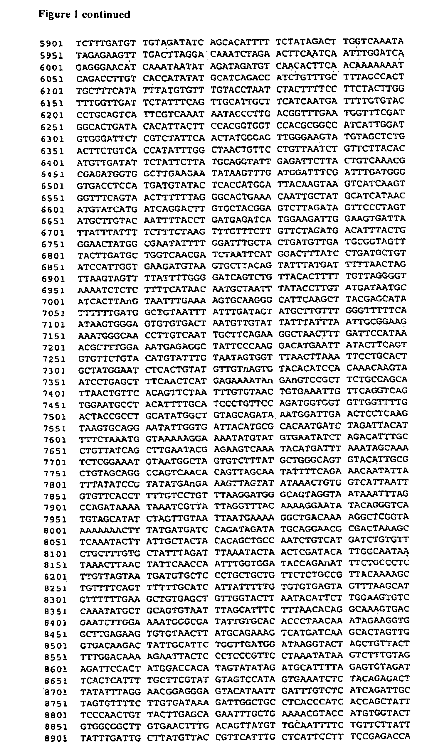 Wheat with altered branching enzyme activity and starch and starch containing products derived therefrom