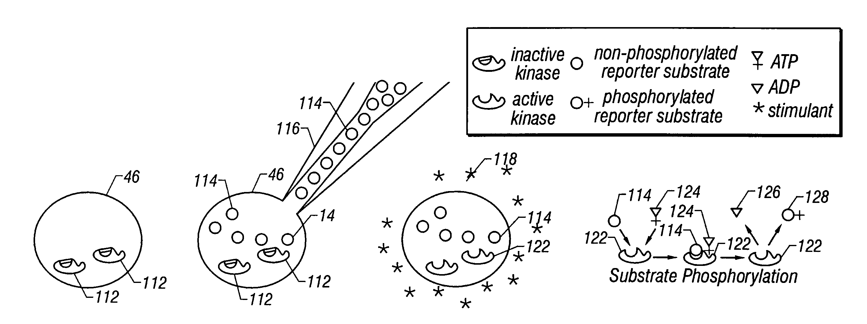Method and apparatus for detecting enzymatic activity using molecules that change electrophoretic mobility