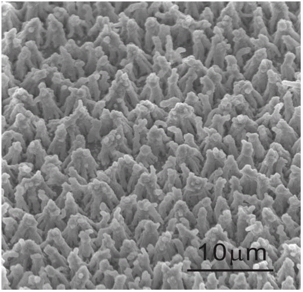 Method for preparing boron-doped diamond and carbon nanotube composite nanocone