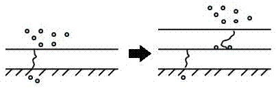 Manufacturing method of water and oxygen barrier layer