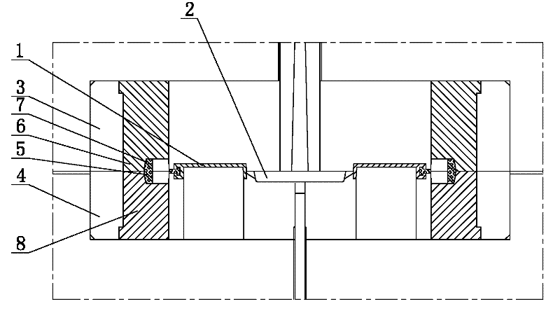 Structure of protecting appearances of metal inserts in mould
