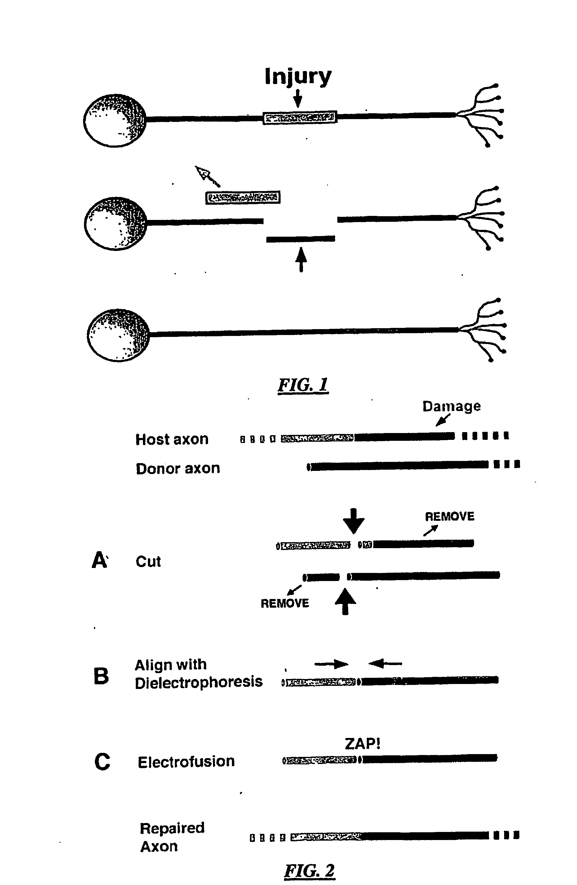 Method and system for nerve repair, nanoknife, mems platform and uses thereof
