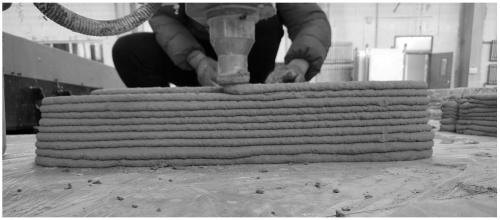 Plant fiber reinforced geopolymer for 3D printing of Zhaozhou Bridge, and preparation method thereof