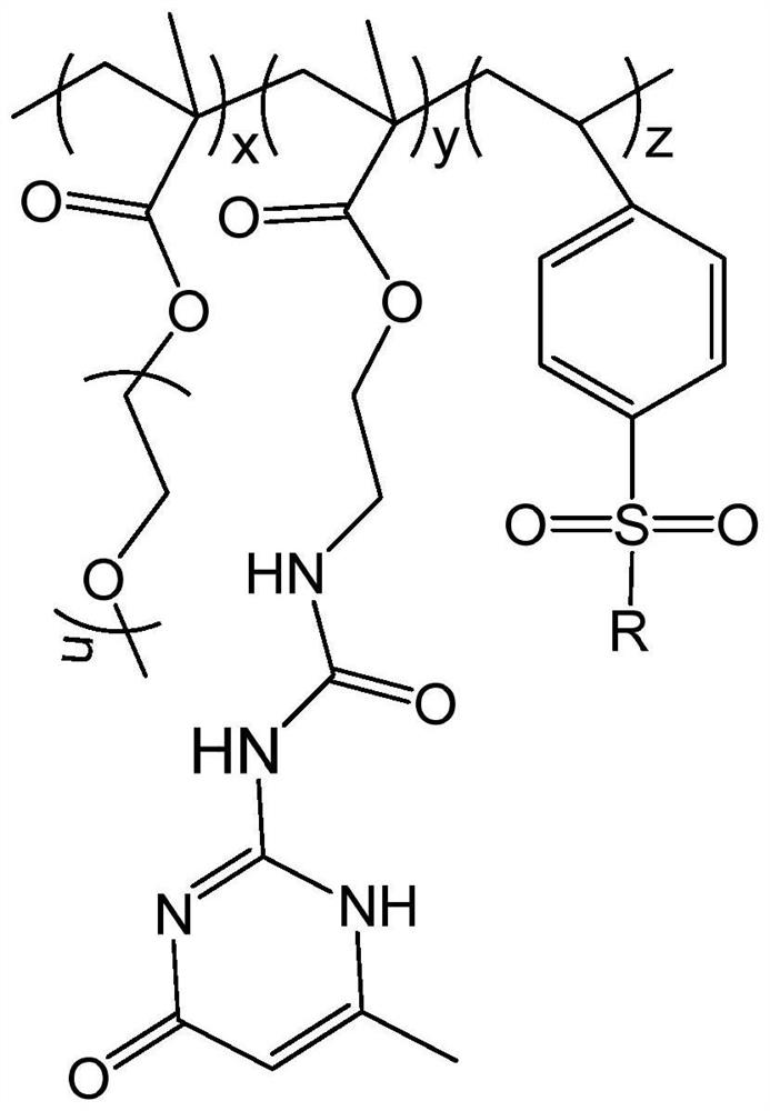 A kind of single ion polymer electrolyte system and its preparation method and application