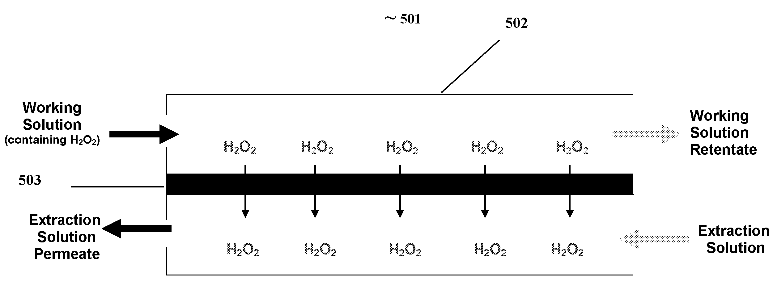 Membrane contactor assisted water extraction system for separating hydrogen peroxide from a working solution, and method thereof