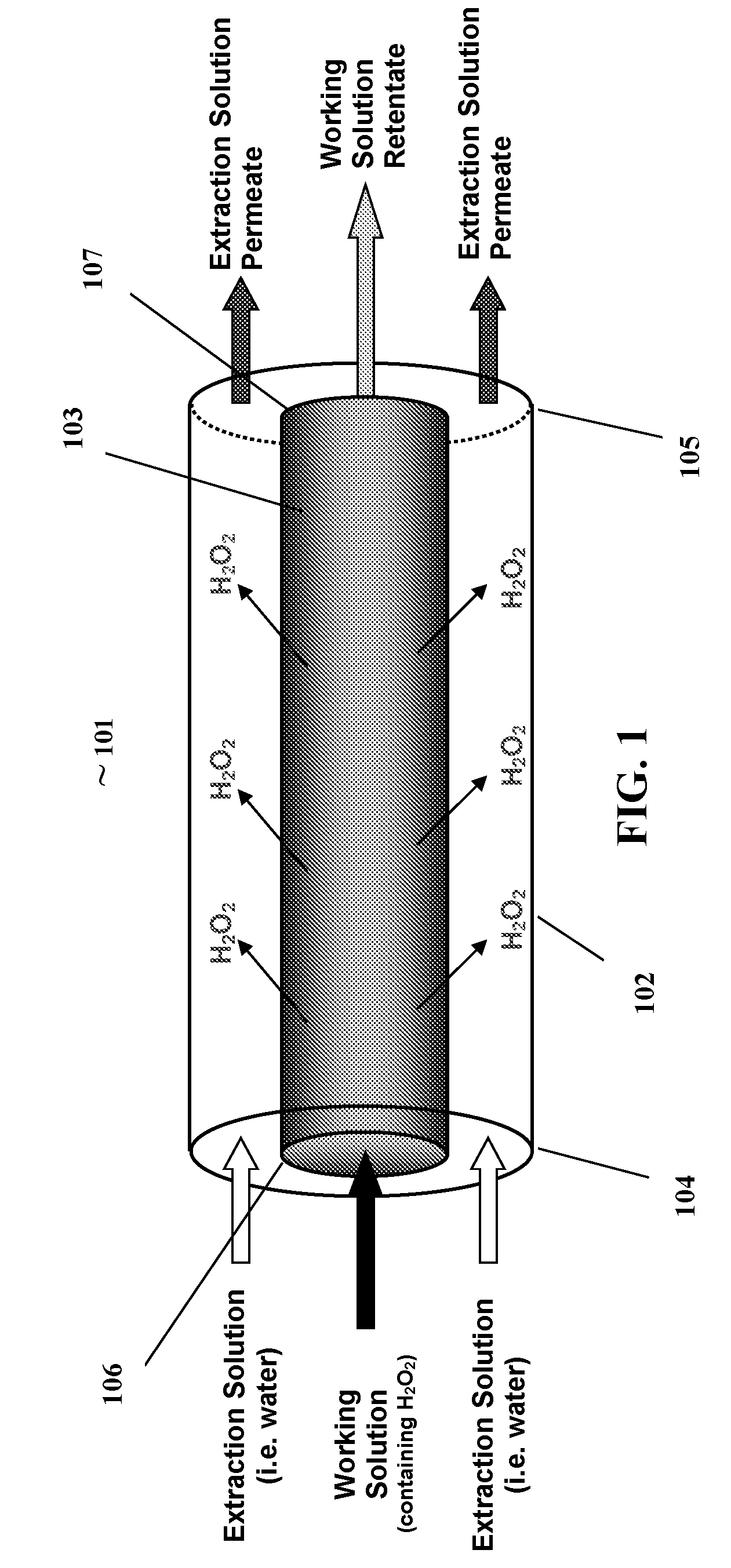 Membrane contactor assisted water extraction system for separating hydrogen peroxide from a working solution, and method thereof