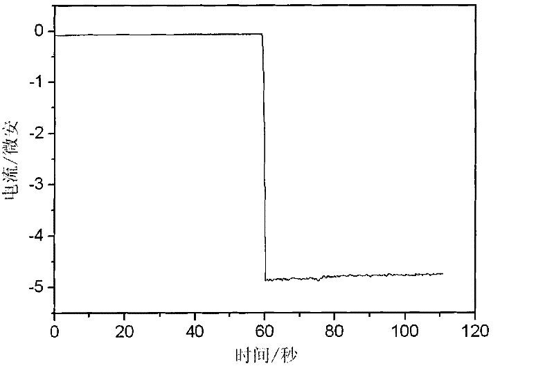 Ethanol oxidizing enzyme film using polycarbonate film as substrate and method for making same