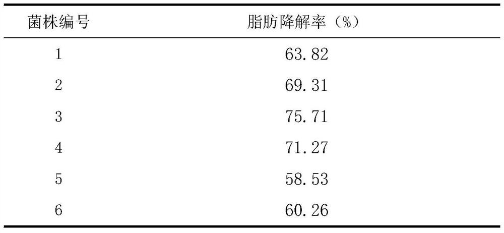 Application of Bacillus and its food waste reduction and resource production in organic fertilizer