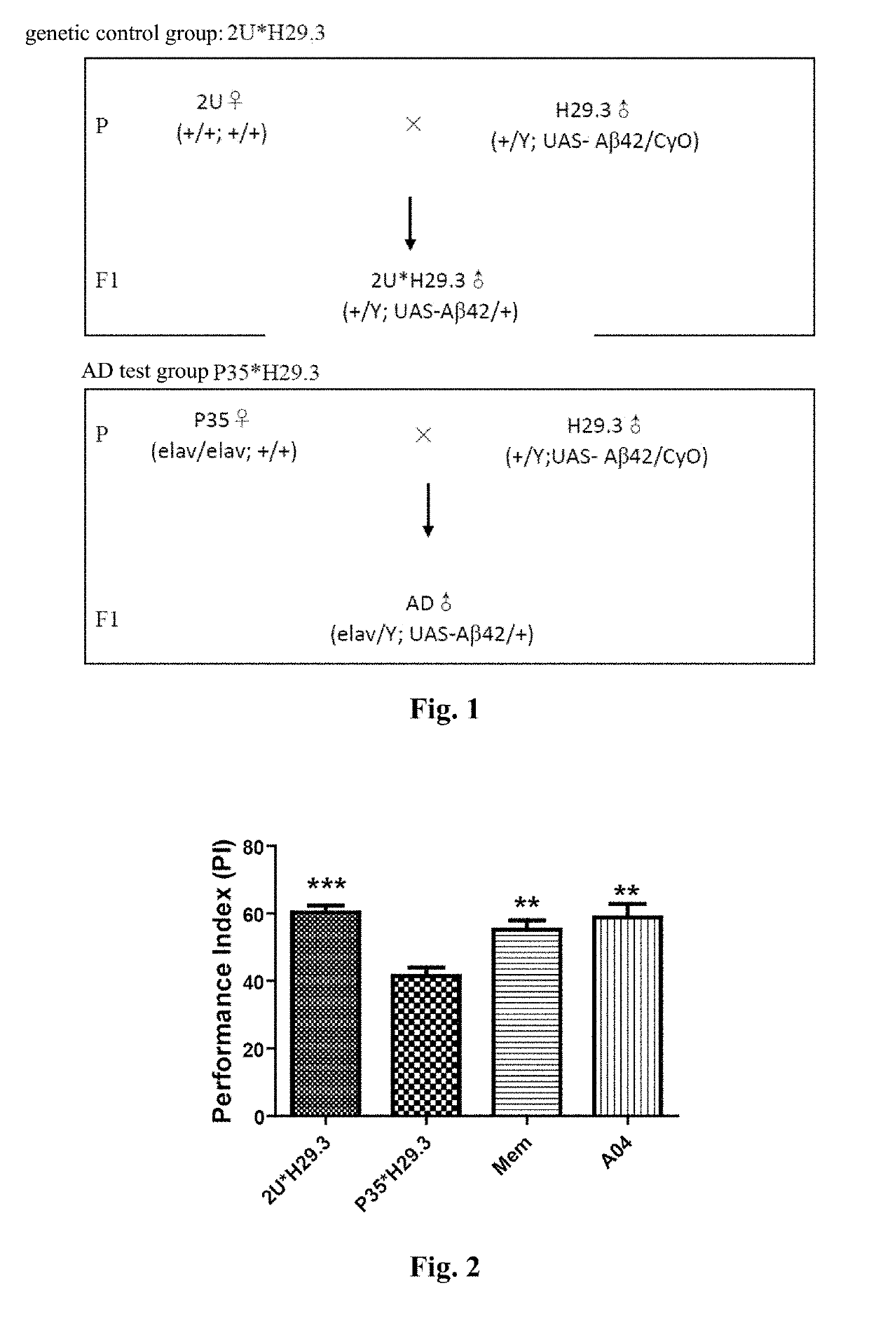 Conjugate of memantine and arctigenin, and composition and use thereof