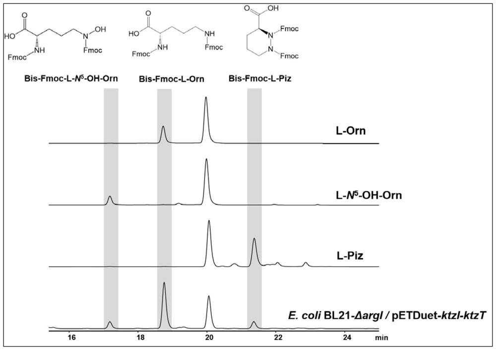 A kind of biotransformation method for synthesizing hexahydropyridazine-3-carboxylic acid