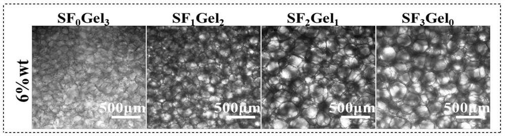 A mechanically enhanced gelatin frozen hydrogel and its preparation method and application