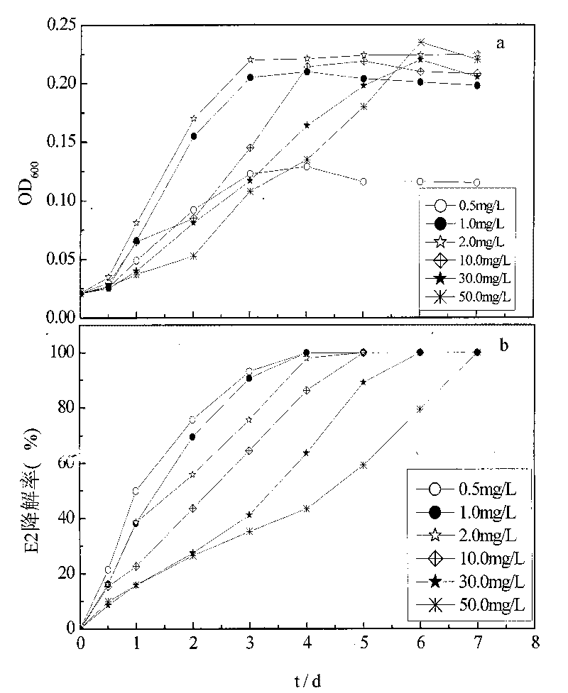 Bacillus sp. E2-Y with 17 beta-estradiol degrading ability and application thereof